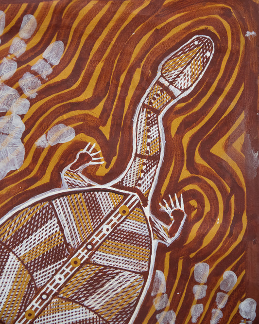 Long neck turtle by Victor Rostron