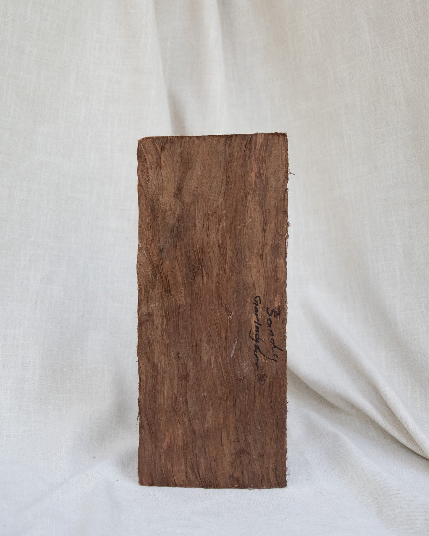 Barra by Sandy Garlngarr