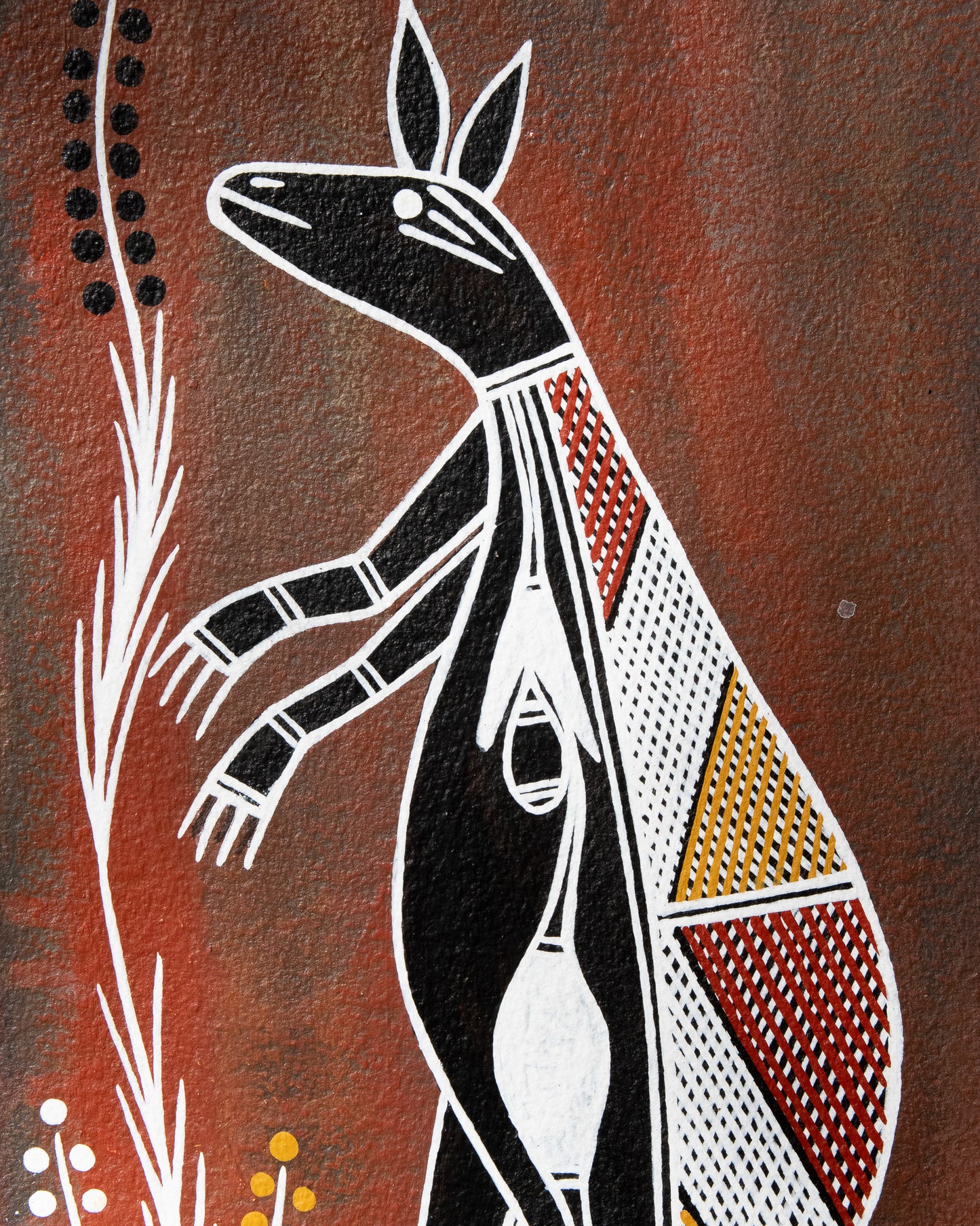 Roo by Jonah Djumburri