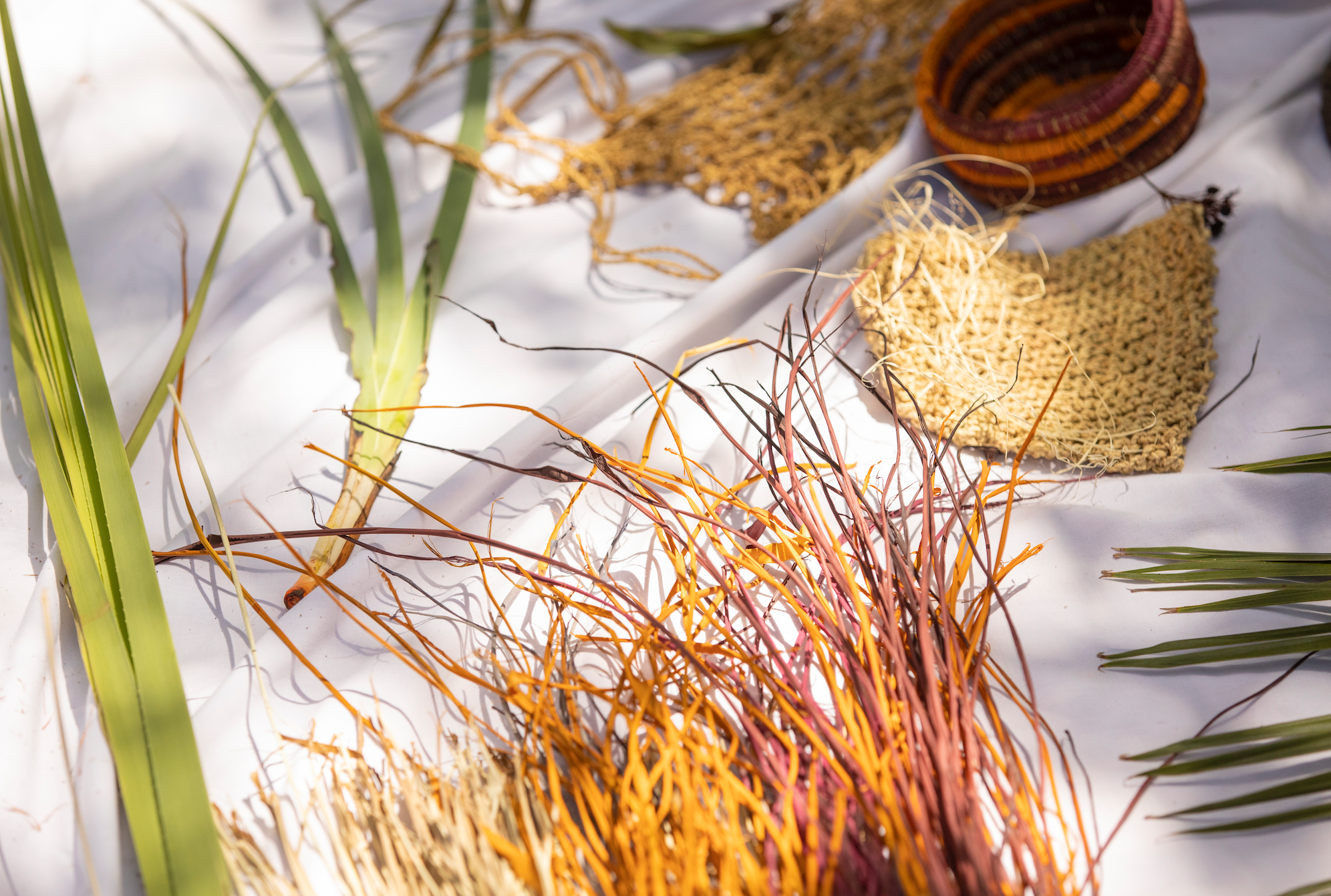 Aboriginal art-making in Kakadu, indigenous artists use these materials to handcraft pandanus jewellery